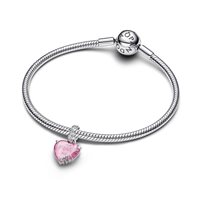 Charm Pandora Donna Family and Friends in Argento Cubic Zirconia 794464C01 - 794464C01